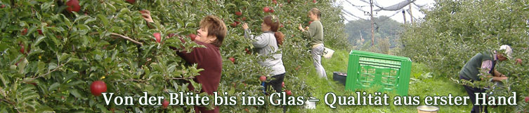 Obstbau Christandl-Panorama Kopfgrafik