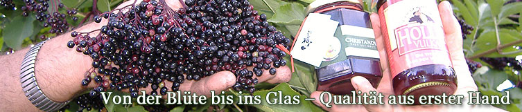 Obstbau Christandl-Panorama Kopfgrafik