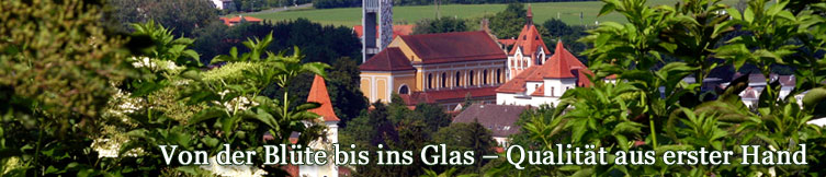 Obstbau Christandl-Panorama Kopfgrafik