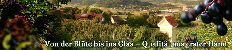 Obstbau Christandl-Panorama Kopfgrafik
